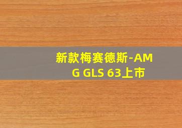 新款梅赛德斯-AMG GLS 63上市